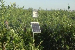 Effaroucheur-d’oiseaux